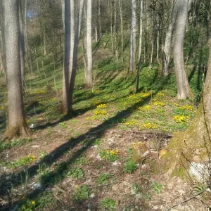 Frühlingsgrüße Park_10.jpg