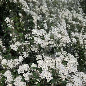 20180507_102341.jpg