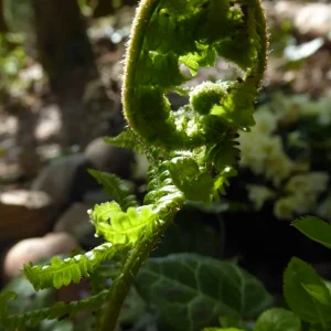 P1040237.JPG