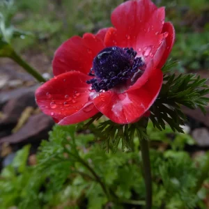 P1040432.JPG