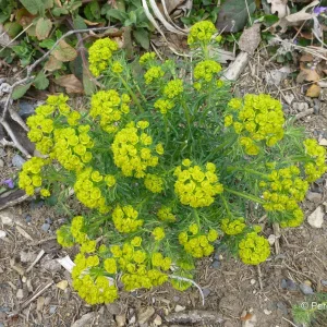 P1080060_1.JPG