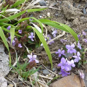 P1080061_1.jpg