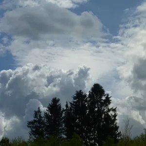 P1080066_1.jpg