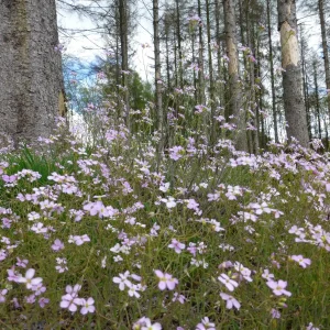 P1080068_1.jpg