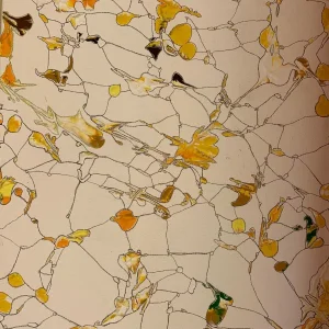 yellow dots.jpg