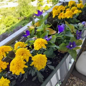 20210602_091219.jpg