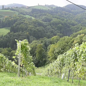 steiermark2.JPG
