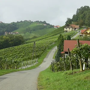 steiermark 3.JPG