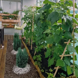garten.jpg