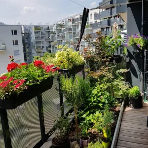 garten 3.jpg
