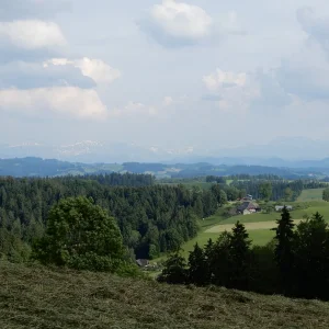DSCN2942.JPG