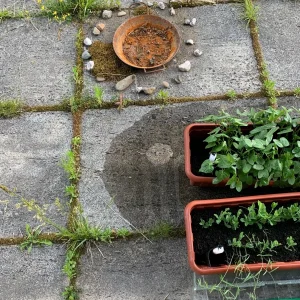 ritualplatz neuer Kreis.jpg