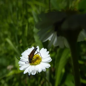 P1040920.JPG