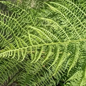 IMG_20210621_181251.jpg