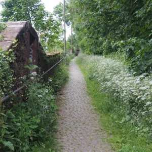 Trier-Kürenz_Kreuzweg.jpg