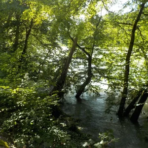 DSCN4633.JPG