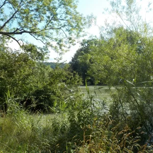 DSCN4636.JPG