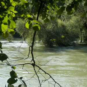 Hochwasser.JPG