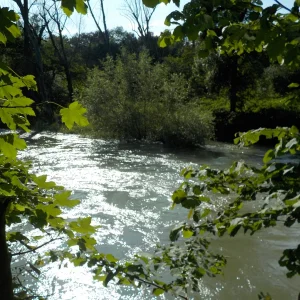 DSCN4643.JPG