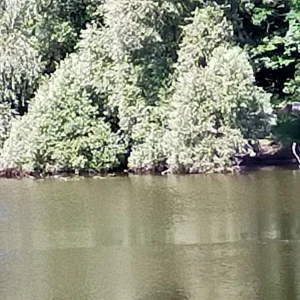 IMG20210718110126.jpg