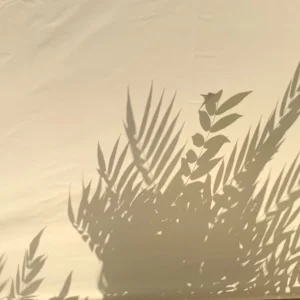 22350B0B-1F35-4F62-AAF3-050A6F7114FA.jpeg