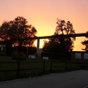 20201003_073235.jpg