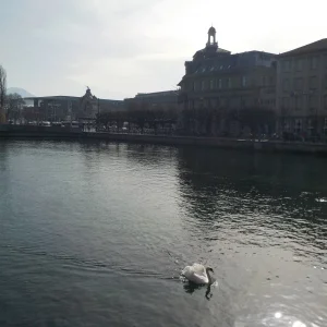 DSCN3459.JPG