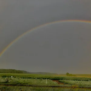 D065F00B-D4CB-4215-A718-50362647CA53.jpeg
