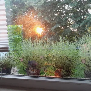 20210824_065901.jpg