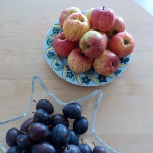 DSCN4658.JPG