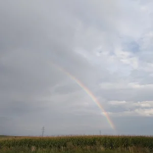 20210826_181822.jpg