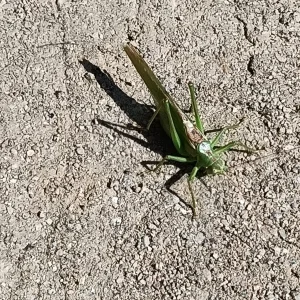 IMG_20210902_130317.jpg