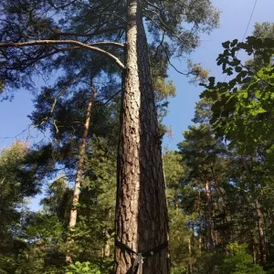 PANO_20210909_142706.jpg