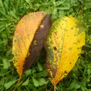IMG_20210919_130232.jpg