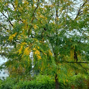 20210921_100752.jpg