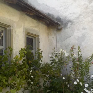 DSCN4697.JPG