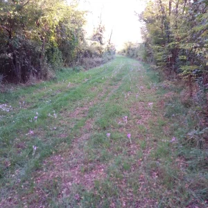 IMG_20210925_173028.jpg