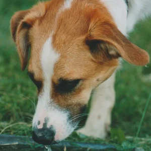 Scan_20211004.jpg