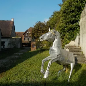 DSCN4715.JPG