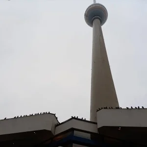 IMG_20211005_112107.jpg