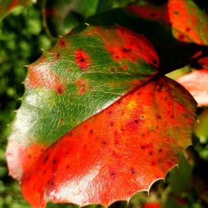 IMG_20211008_155633.jpg