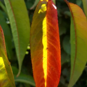 IMG_20211008_154816.jpg
