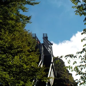 DSCN4014.JPG