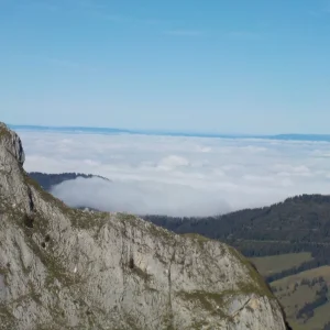 DSCN4768.JPG