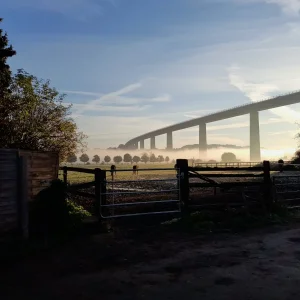 20211010_084347.jpg