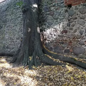 PANO_20211011_151003.jpg