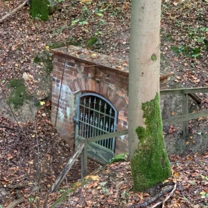 keller im wald.jpg