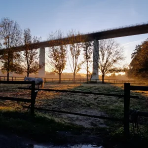 20211024_083312.jpg