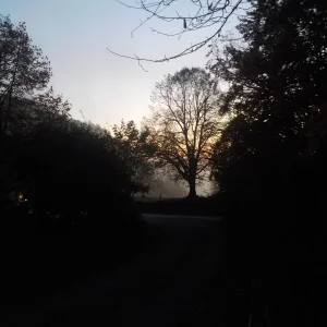 DSCN4809.JPG