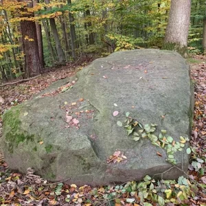 Schöpfungsweg Stein.jpg
